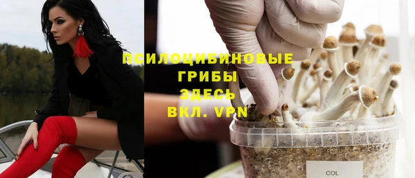 дживик Волоколамск