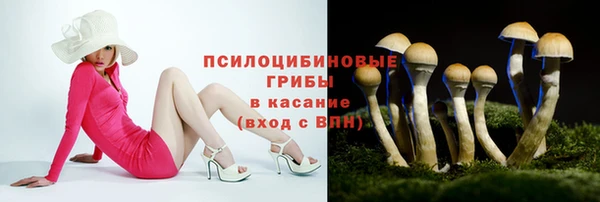 шишки Волосово