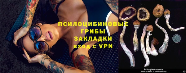 шишки Волосово
