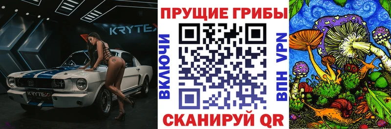 Галлюциногенные грибы Cubensis  Чекалин 
