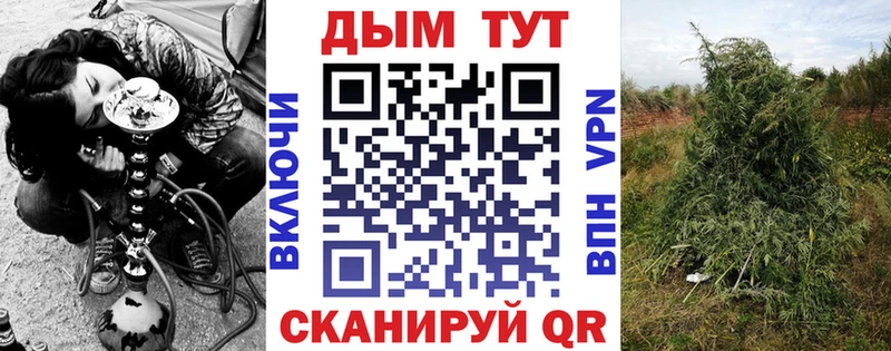 Марихуана SATIVA & INDICA  как найти закладки  кракен   Чекалин 